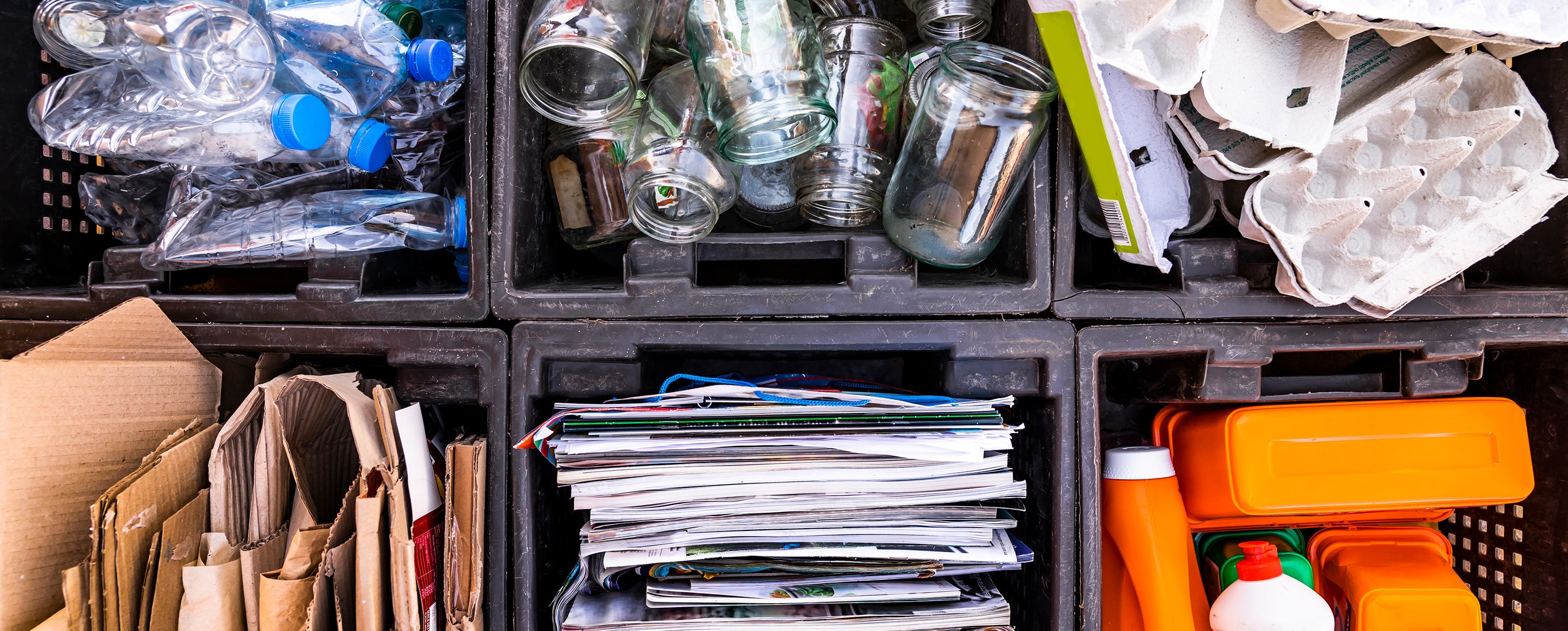 Dual Compartment Step Can and Compost Caddy